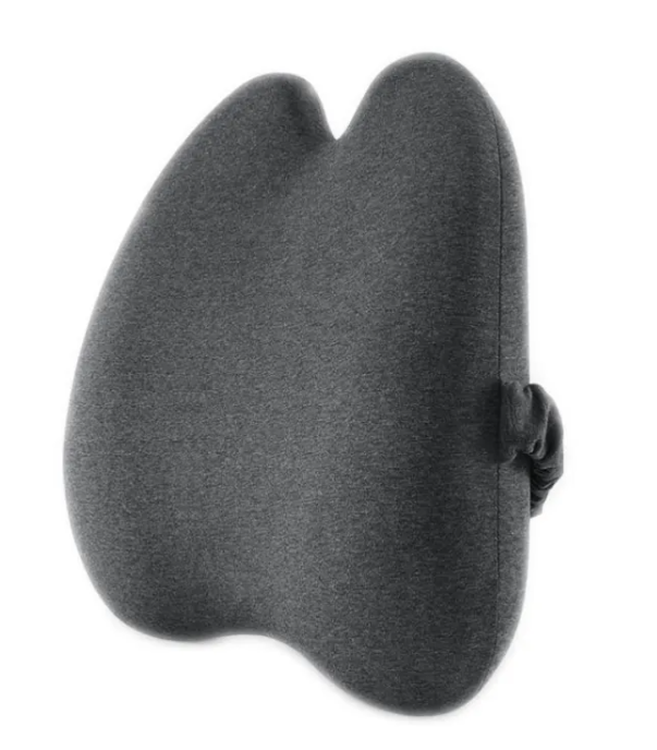 Back, Lumbar & Seating Support